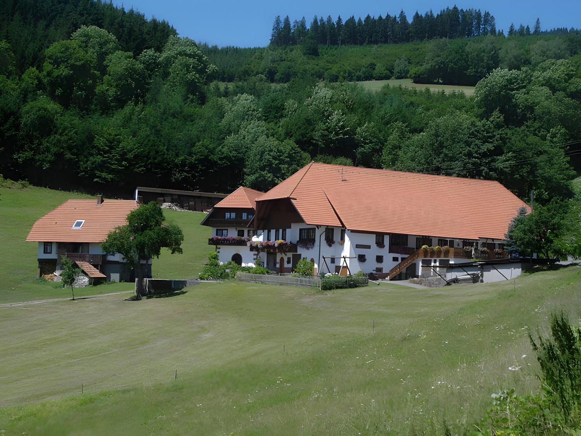 Uhlhof Apartment Neuenbach Exterior photo